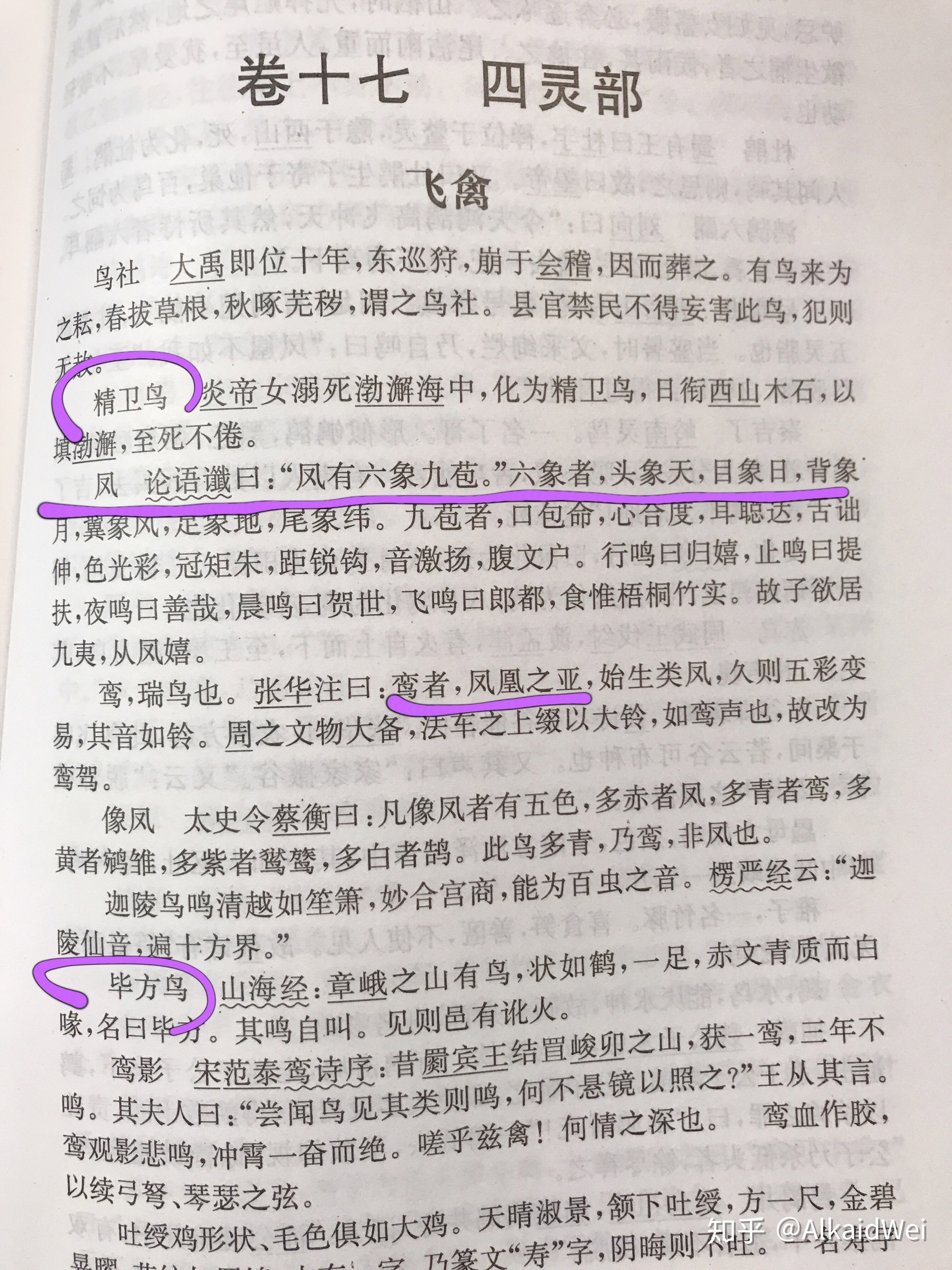 十二生肖里为什么偏偏会有一个不存在的龙？-6.jpg