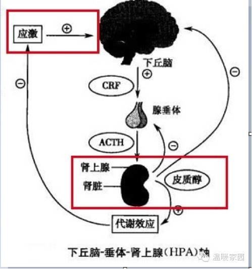 怎么治疗抑郁症？-1.jpg