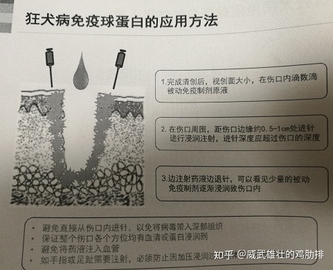 为什么狂犬病还是无法治疗？-1.jpg